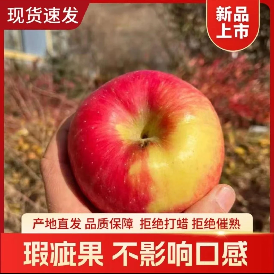 【微瑕果】崮里脆苹果 微瑕裂口轻微挤压不影响正常口感无农残