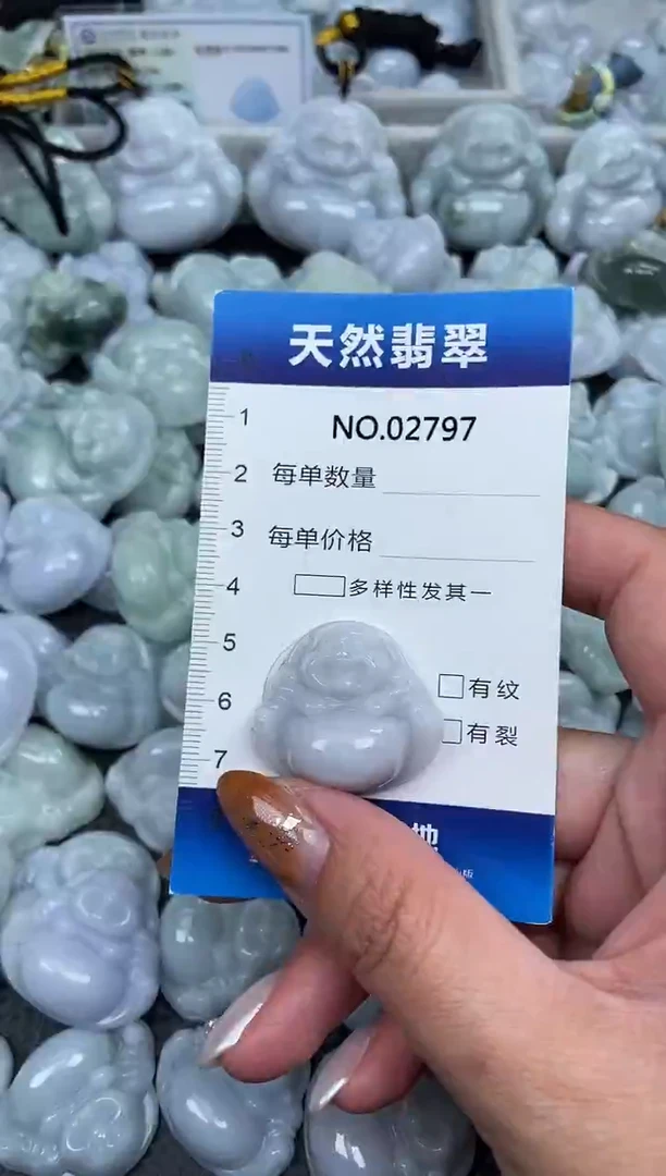 颈饰未镶嵌翡翠纯天然A货缅翡2797
