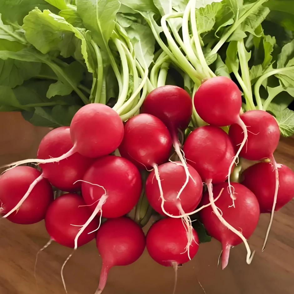 【全店满5元包邮】四季红樱桃萝卜种子