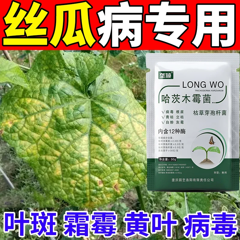 丝瓜病专用肥料叶斑病霜霉病黄叶黑斑病病毒病抗病增产微生物菌剂