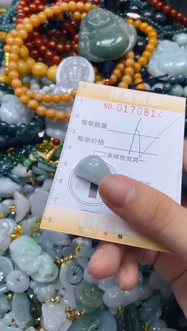 翡翠未镶嵌颈饰闪购0170814多样性发其一