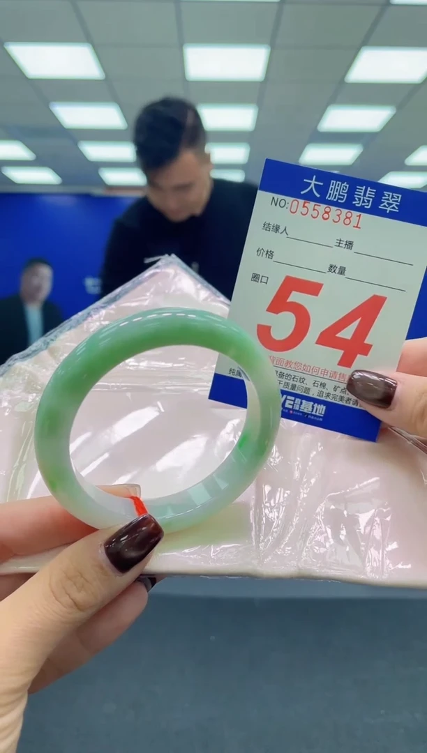 未镶嵌手镯翡翠AAAAAAAAAA