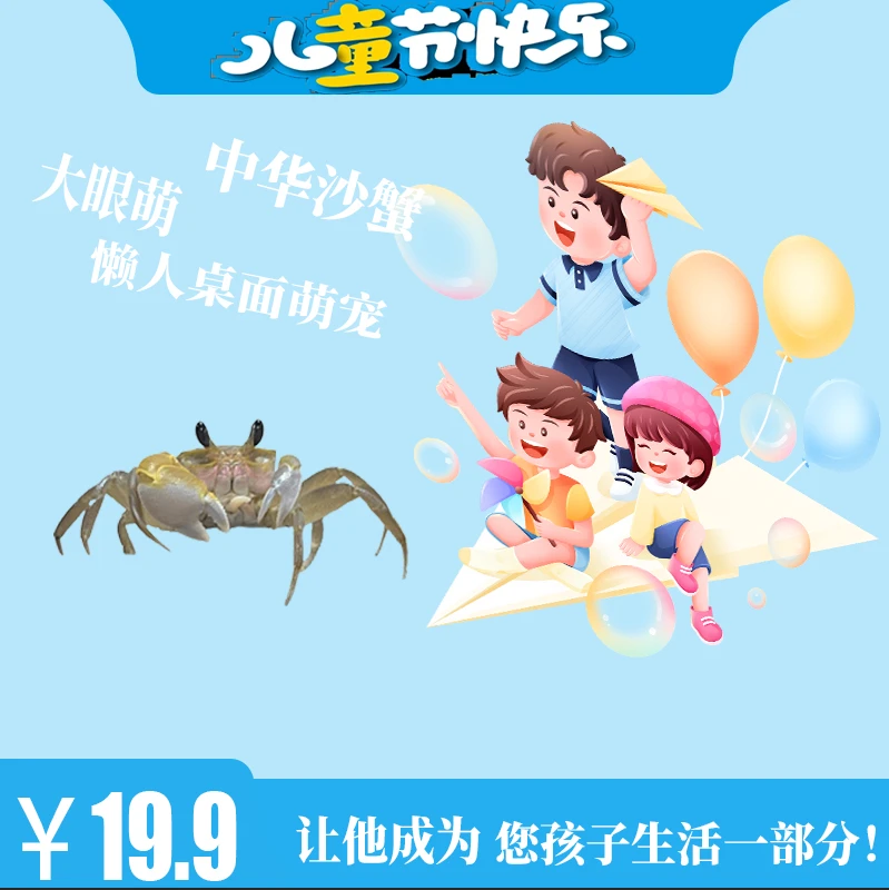 中华沙蟹大眼萌桌面宠物爬宠桌面摆件