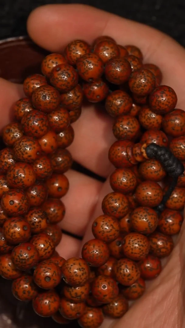 冲赛康胡子哥，藏传念珠264