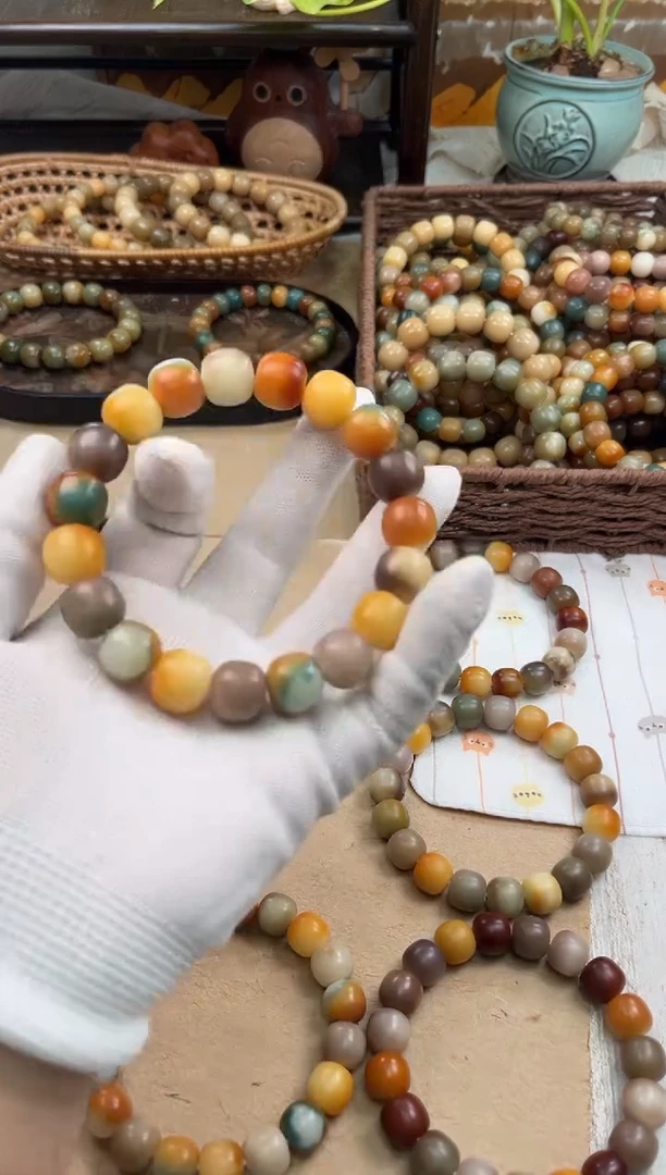 手串菩提根/象牙果伊*哟a411卡14 干磨万圣家族孔一般