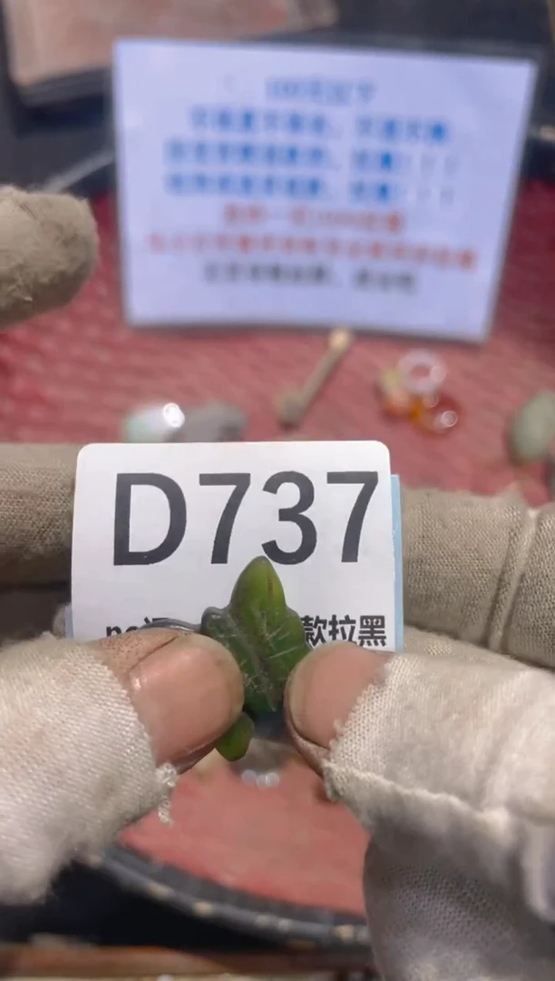 瓷片艾**丰表妹火爆热卖热卖！