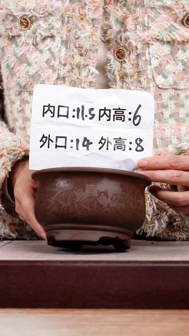 紫砂花盆紫泥刻绘猫咪迷你矮圆盆一只无托