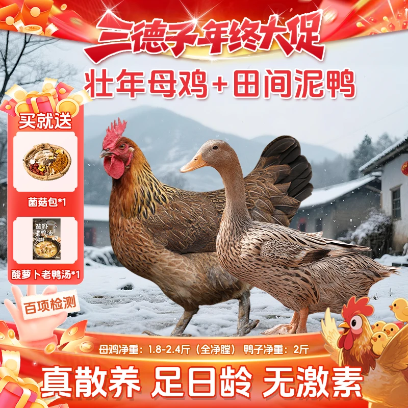 三德子【鸡鸭组合】壮年母鸡+田间泥鸭生态散养煲汤农家散养土鸡