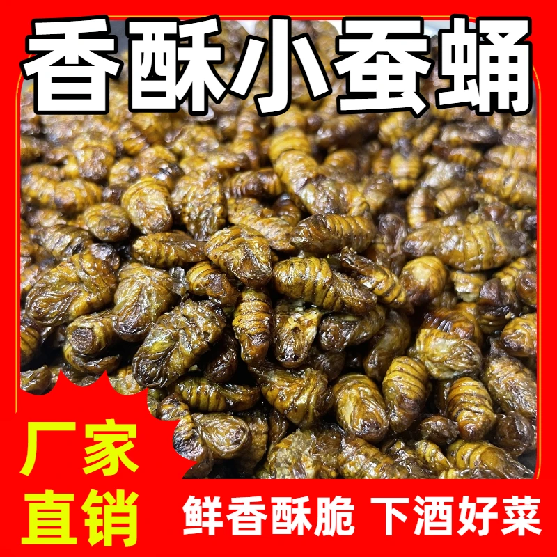 香酥蚕蛹五包淄博特产美味下酒菜开袋即食香酥脆爽