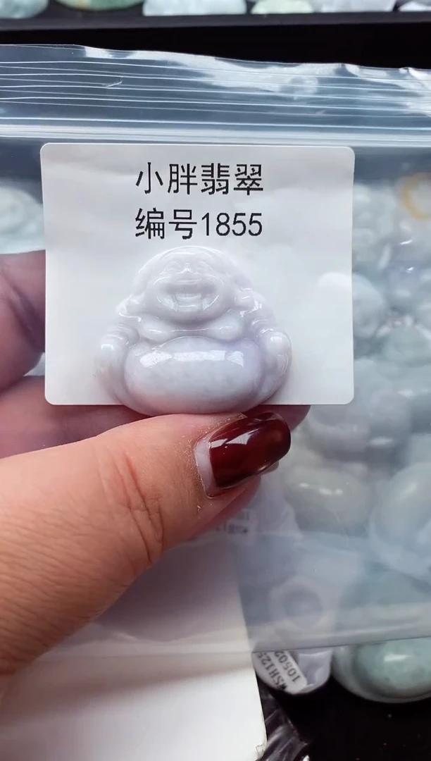 颈饰未镶嵌翡翠缅甸天然A货翡翠1855