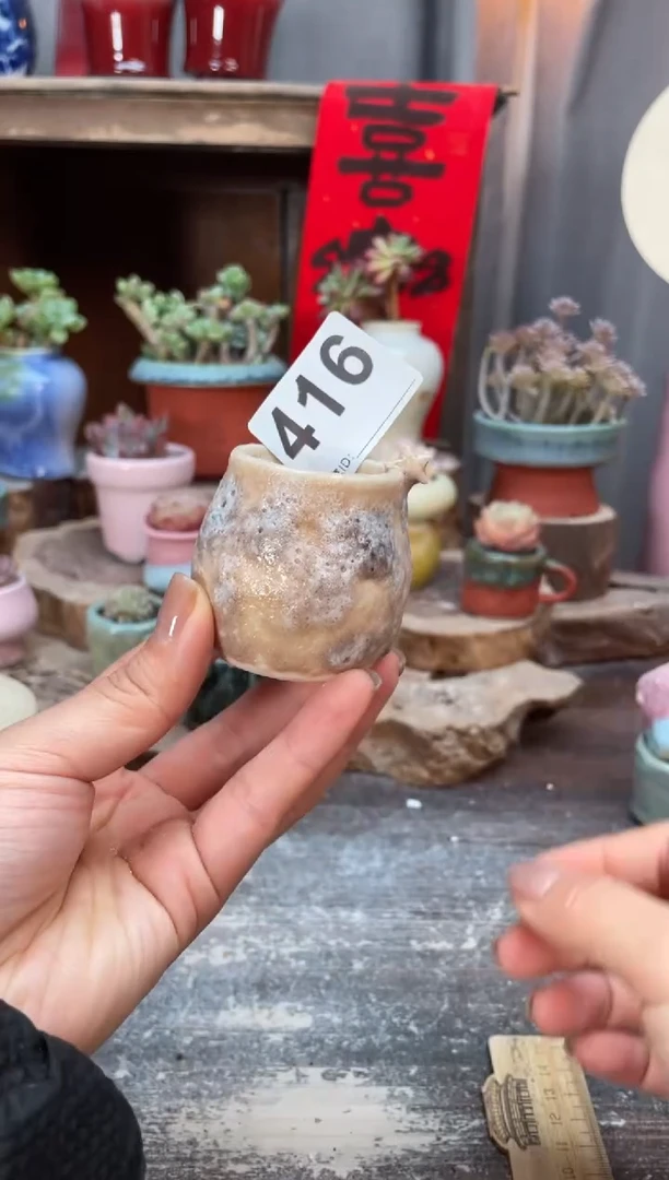 【闪购商品】摆件416福利知木小芳花盆