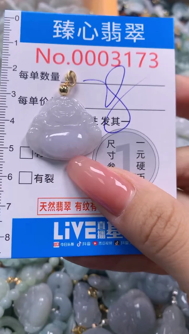 翡翠未镶嵌颈饰3173