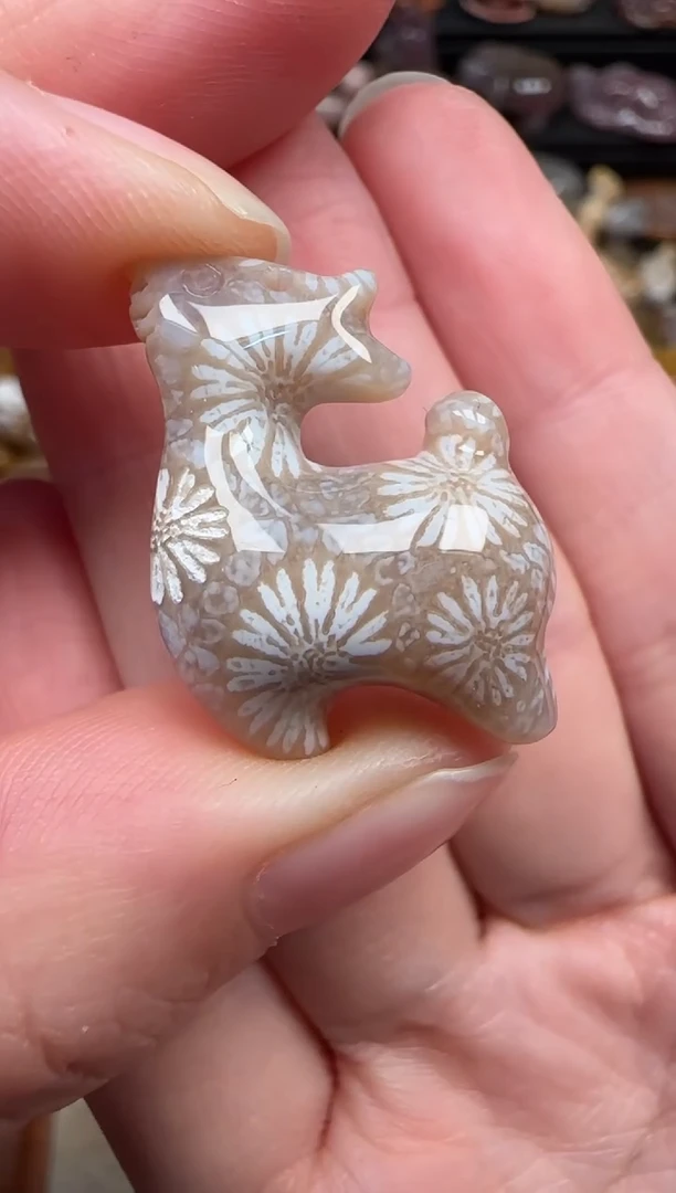 颈饰未镶嵌硅化珊瑚（珊瑚玉）806