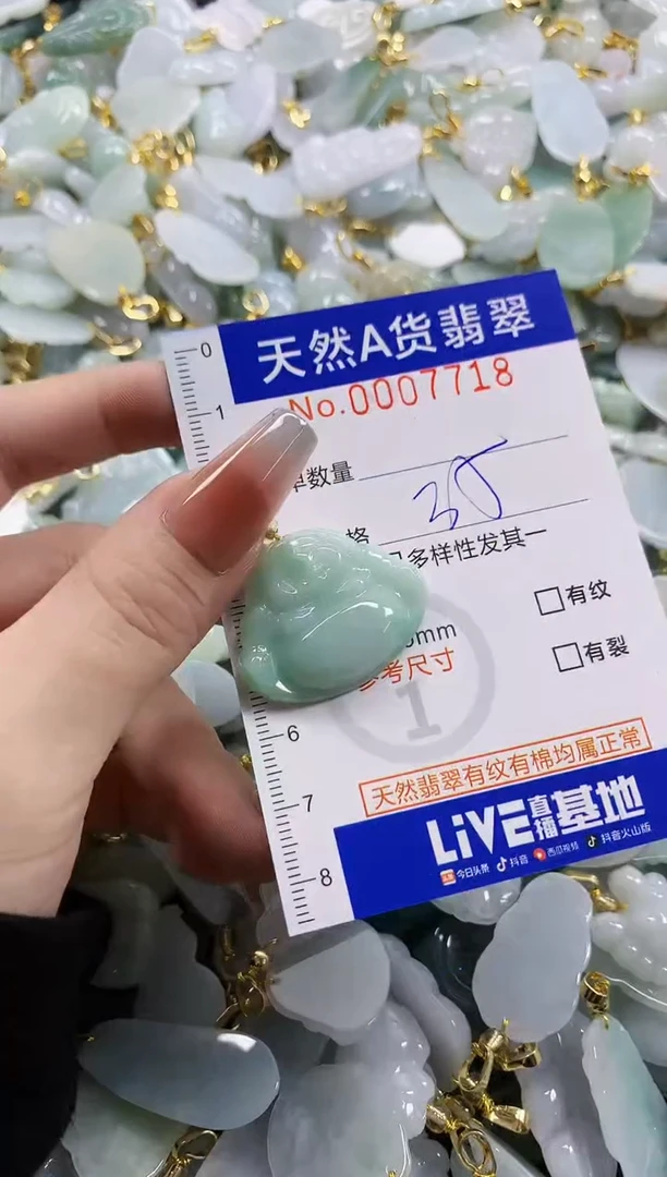 颈饰未镶嵌翡翠天然A货翡翠