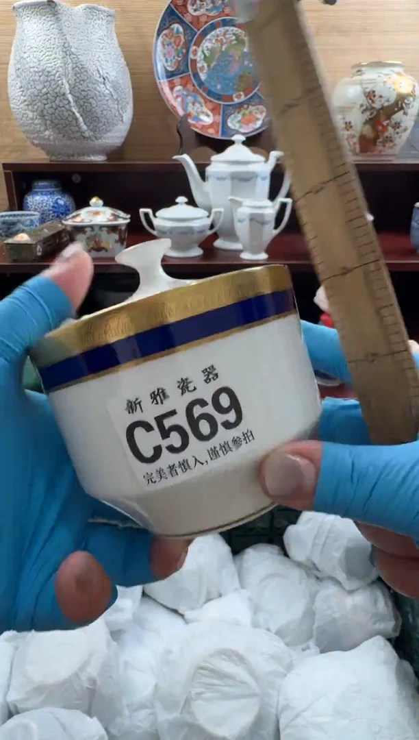 瓷片          C569