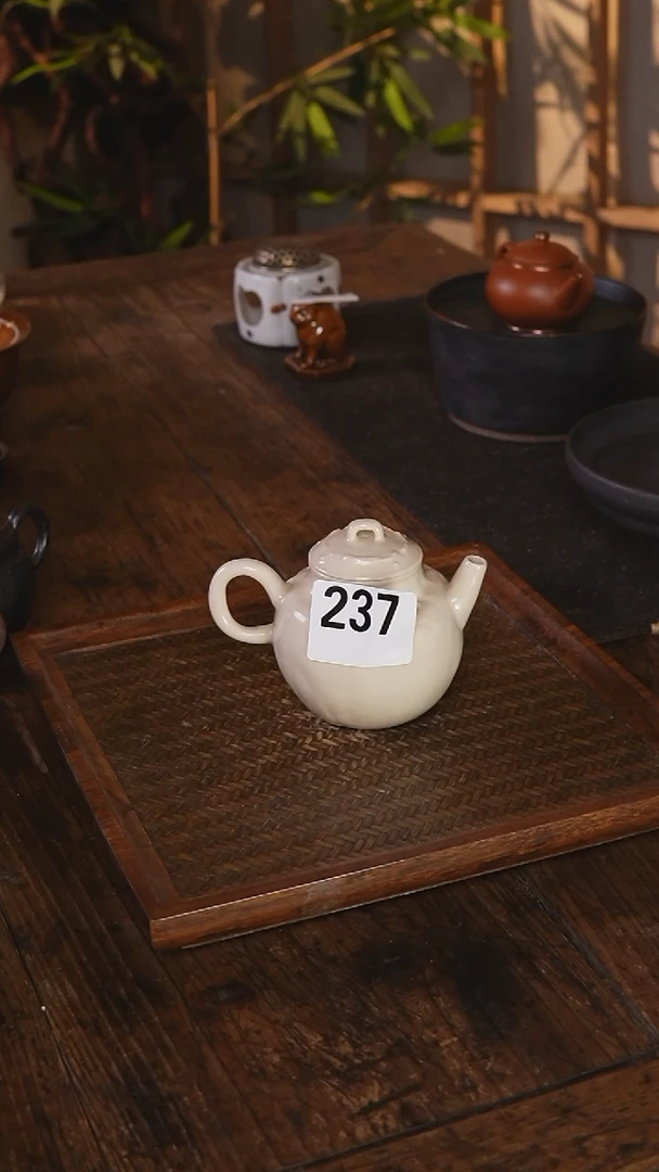小白壶......237