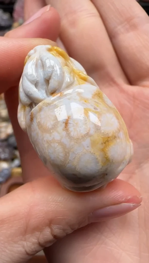 【闪购商品】硅化珊瑚（珊瑚玉）颈饰未镶嵌801