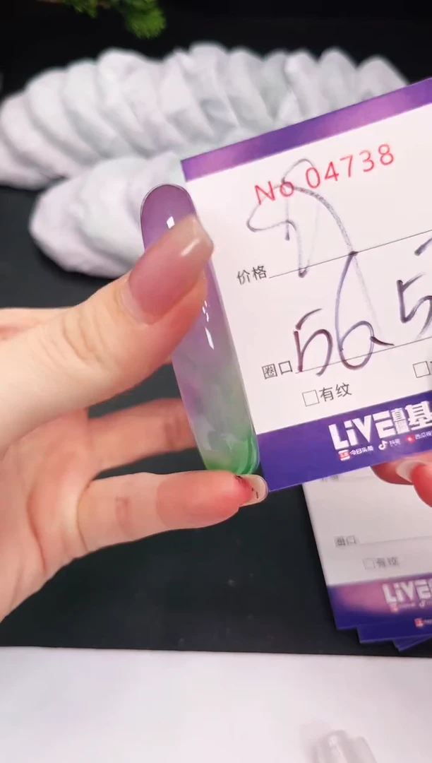 未镶嵌手镯翡翠4738