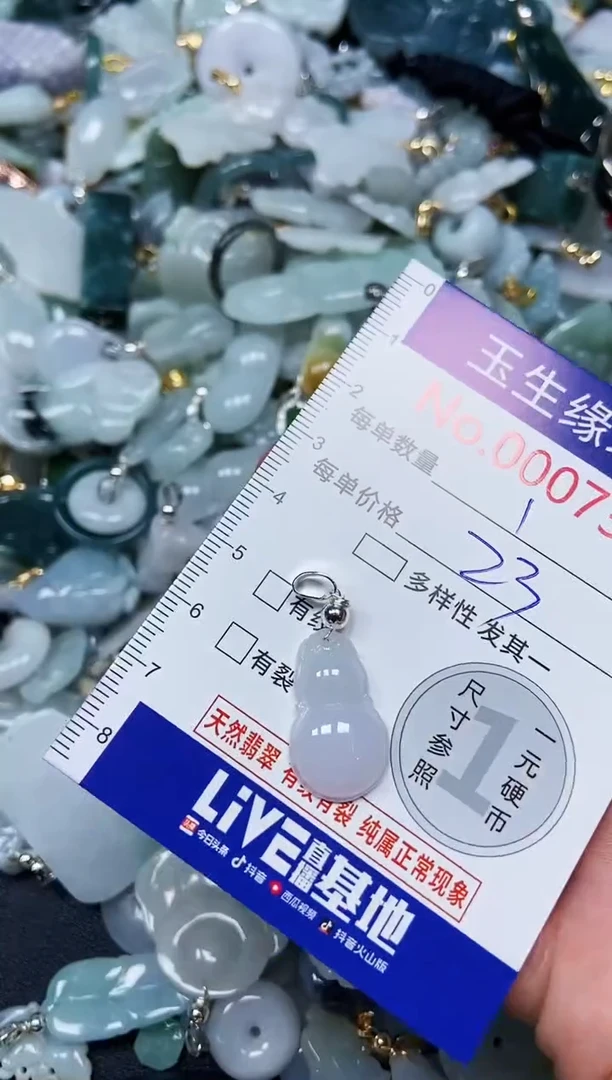 【闪购商品】翡翠颈饰未镶嵌闪购00007345