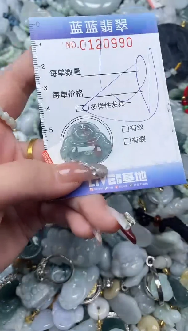 【闪购商品】翡翠颈饰未镶嵌闪购0120990多样性发其一
