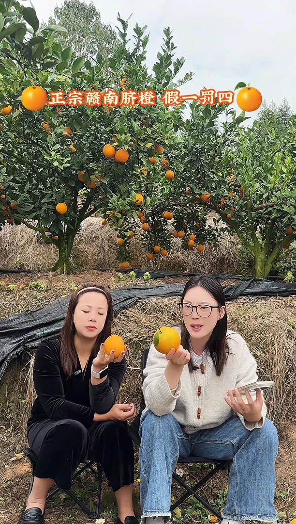 脐橙正宗赣南脐橙，坏果包赔，中果包邮