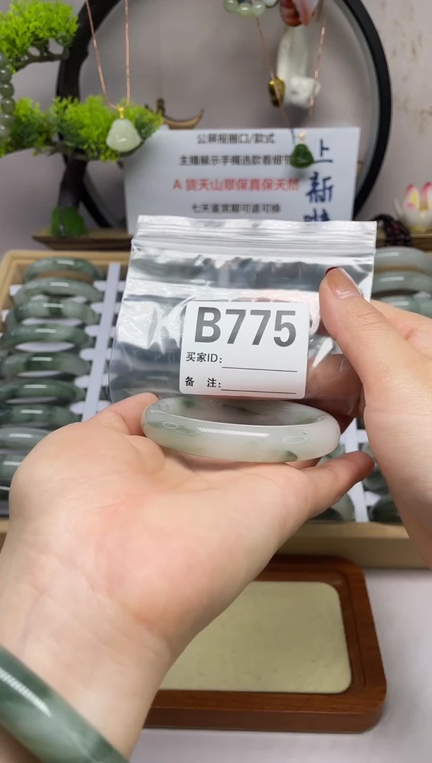 【闪购商品】石英质玉（天山翠）手镯未镶嵌b775