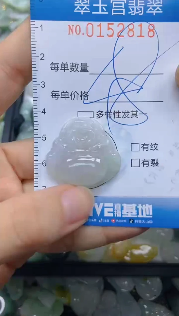 翡翠未镶嵌颈饰闪购0153818