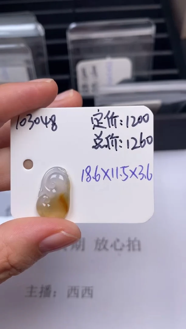 吊坠(不含链)未镶嵌翡翠103048
