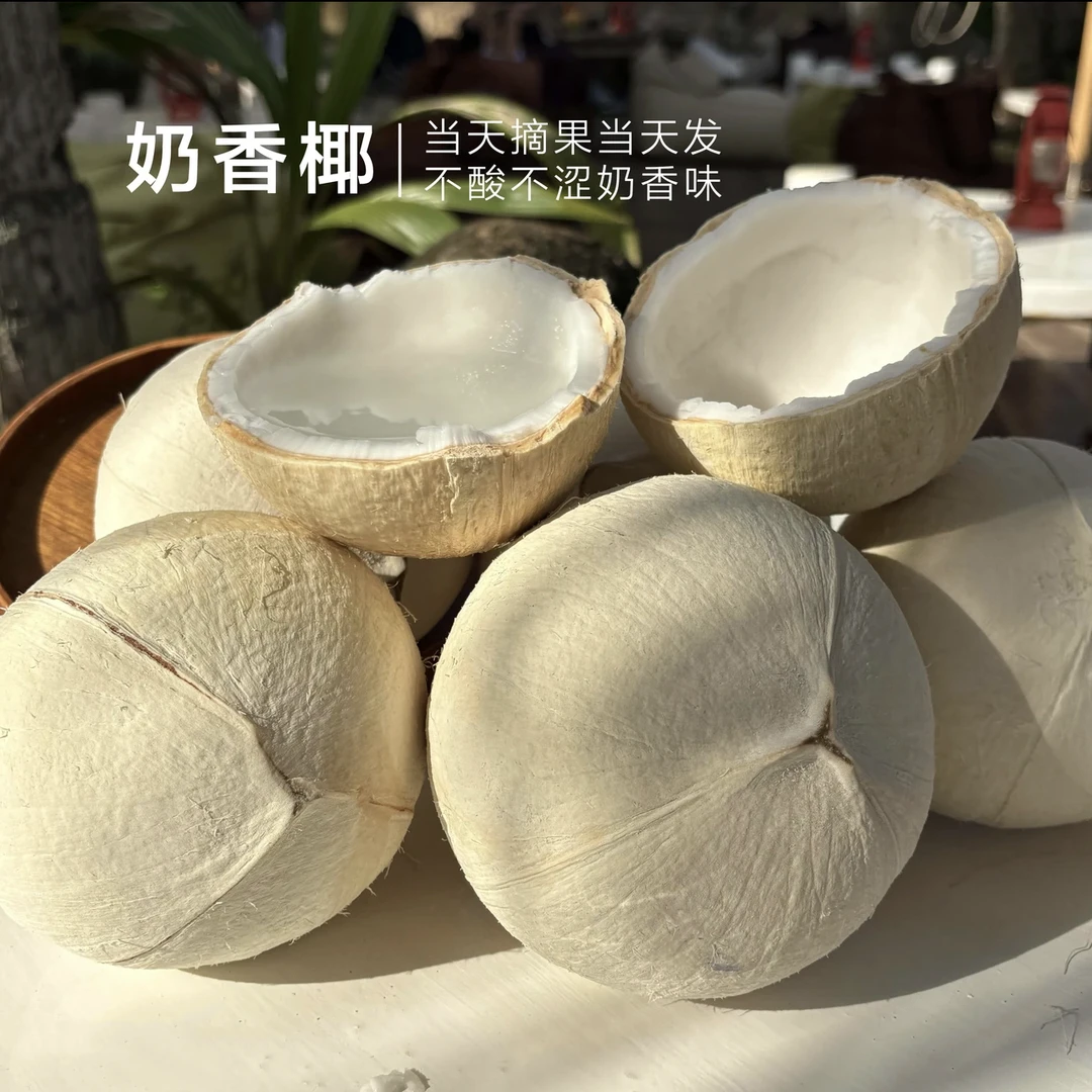 【9颗】海南奶椰椰皇精品特大果单果1斤包邮孕妇水果新鲜椰子蛋椰青