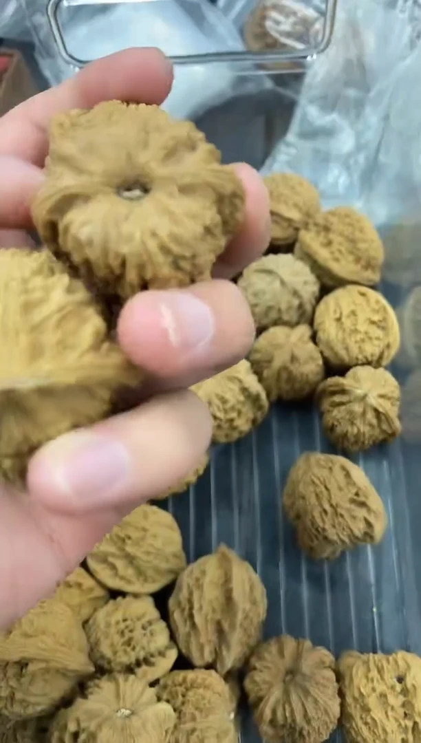 木质13元【南疆石逐鹿南疆新果】