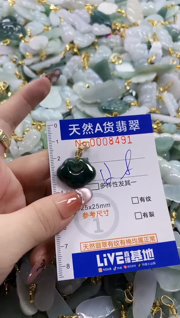 颈饰未镶嵌翡翠天然A货翡翠