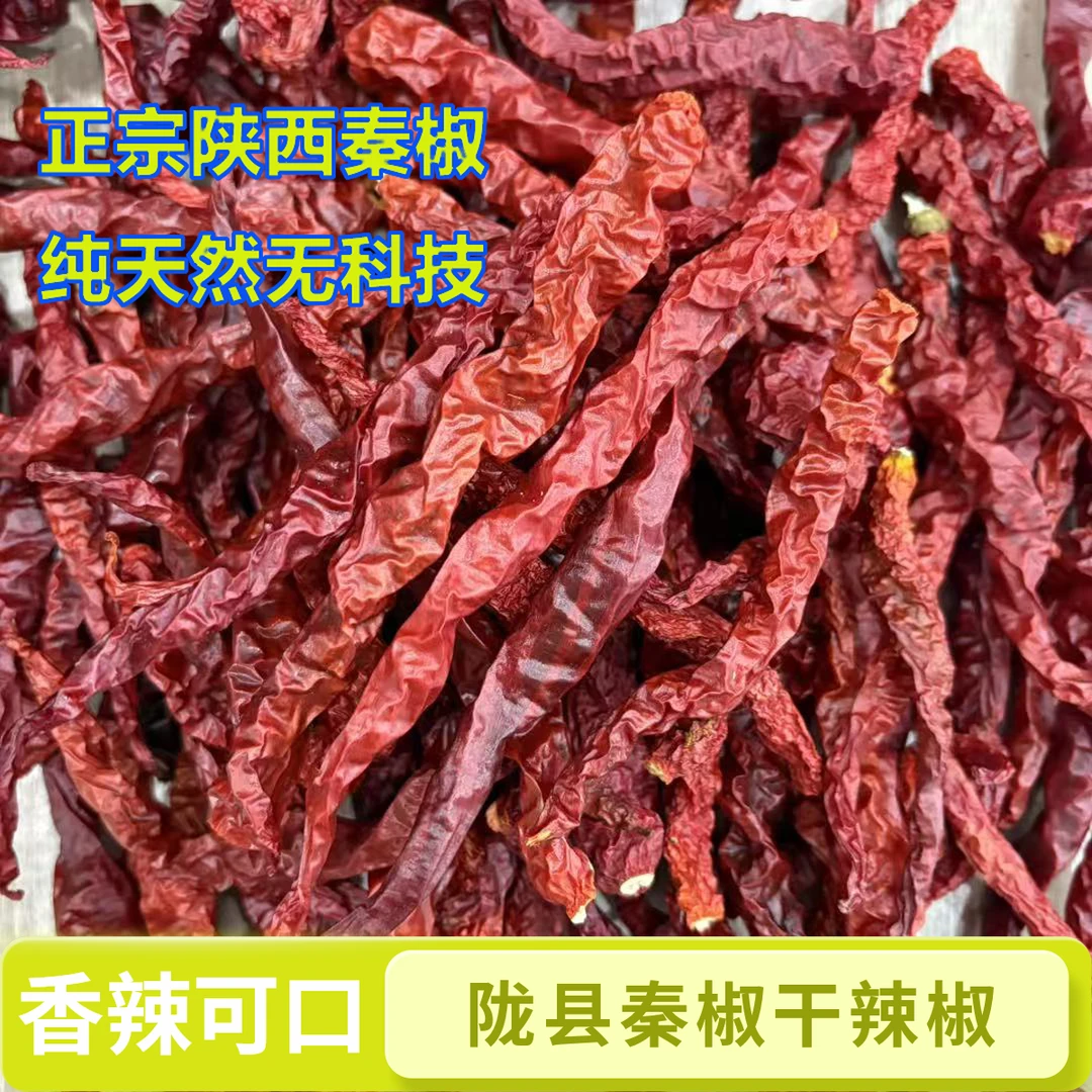2025年陇县天然秦椒干辣椒香辣型干辣椒秦椒油泼辣子擀面皮天然