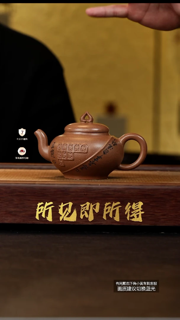 茶壶紫砂蒋工堂原矿玉段砂佛窟七式
