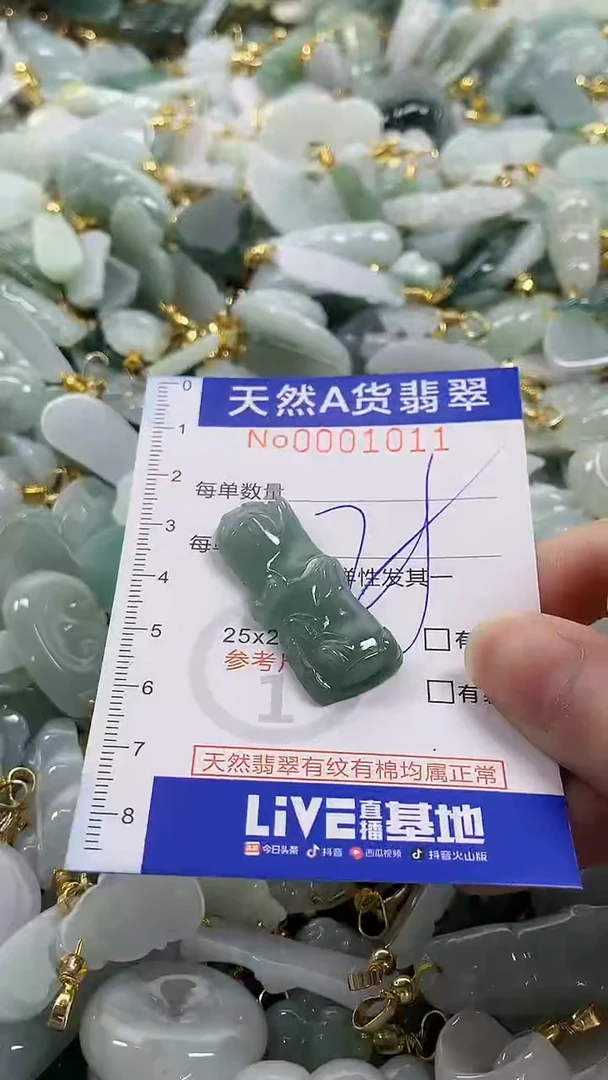 颈饰未镶嵌翡翠纯天然a货翡翠