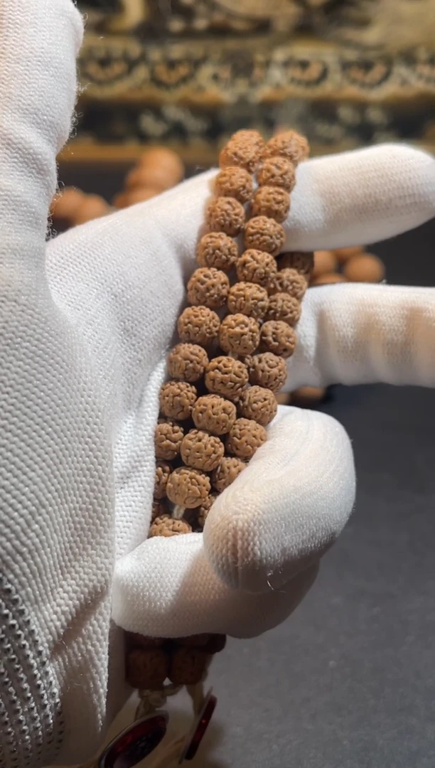 【闪购商品】金刚菩提手串5S级纯血一代盘龙手串【拒绝差评】