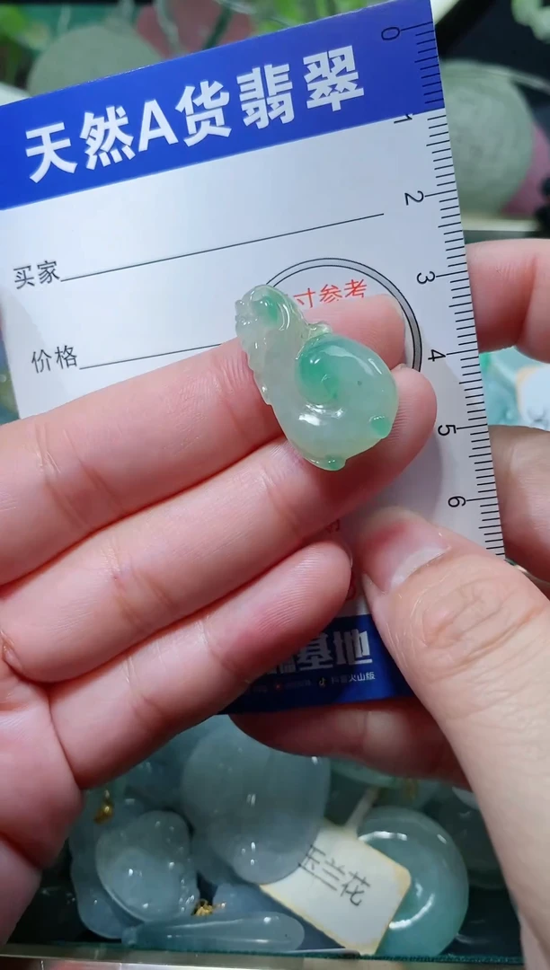 【闪购商品】翡翠颈饰未镶嵌天然A货翡翠一件
