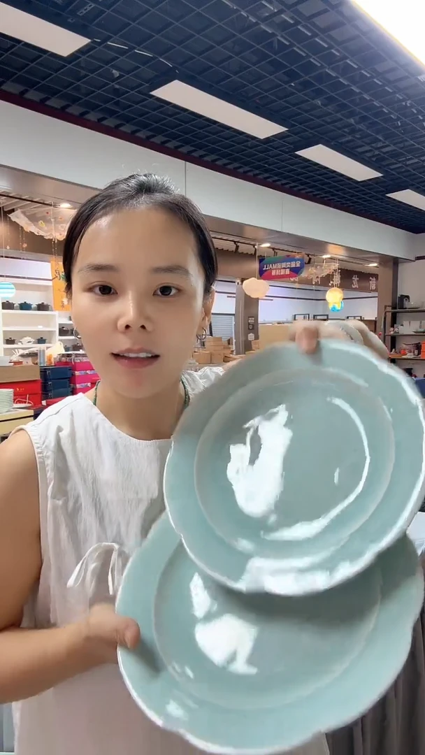 瓷片两个高端系列的10英寸盘子