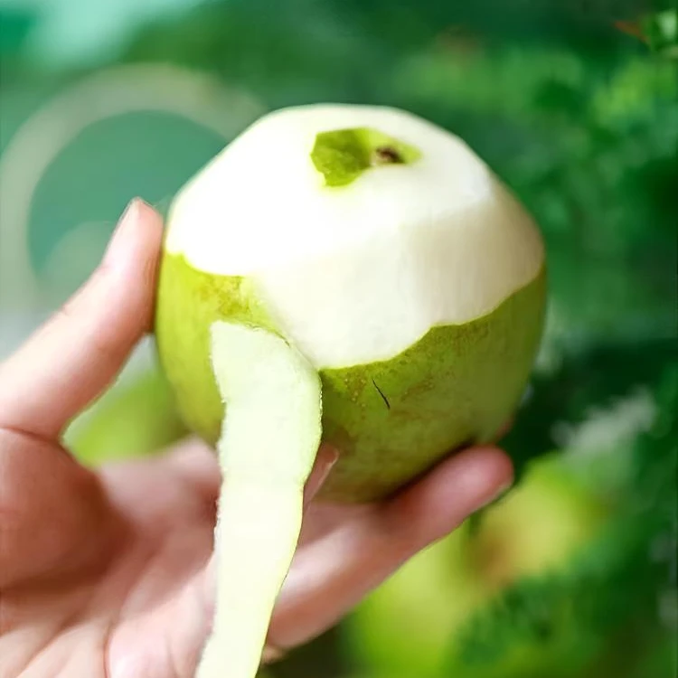 五三农场-翠冠梨子5斤新鲜水果当季整箱包邮