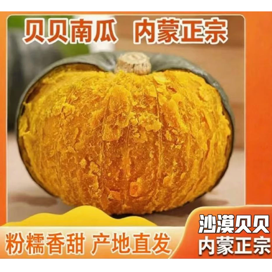 正宗内蒙沙漠贝贝南瓜粉糯香甜板栗味粗粮现摘现发4.5斤