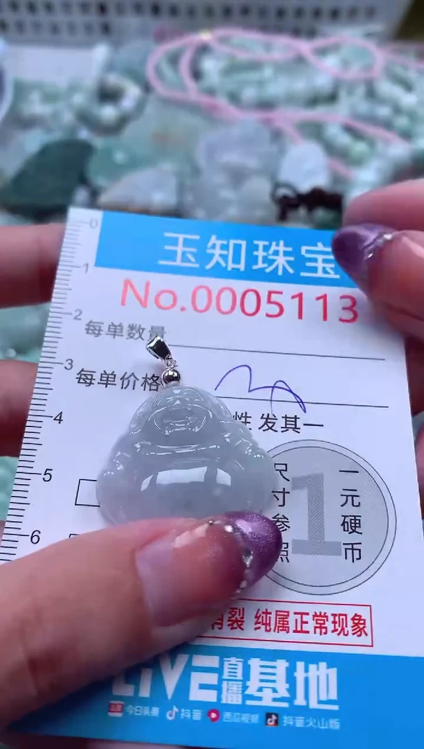 翡翠未镶嵌吊坠(不含链)5113