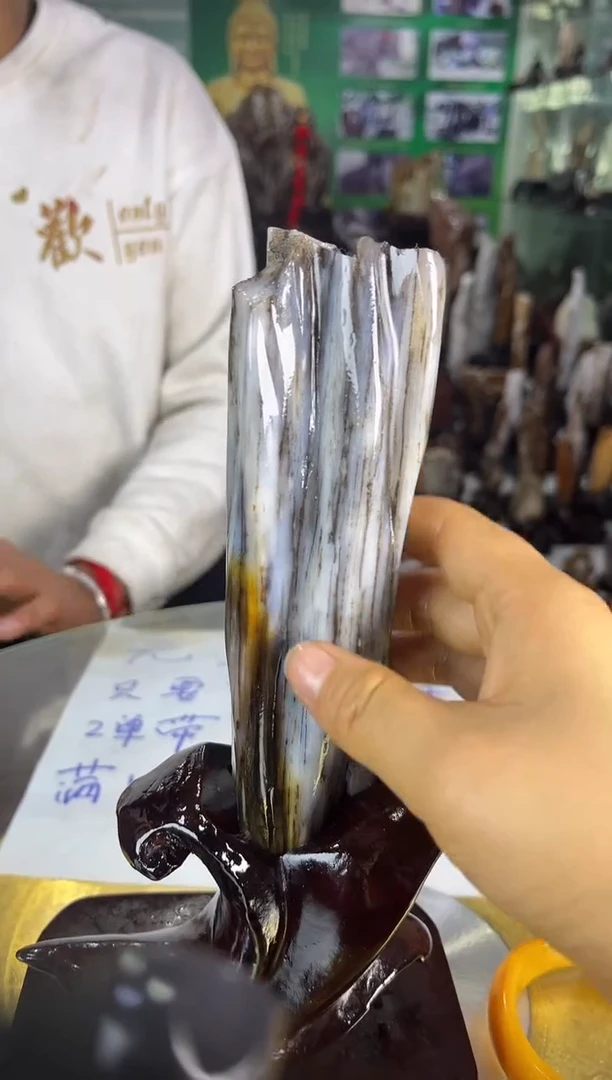 未镶嵌珠宝奇石硅化玉缅甸天然树化玉精品摆件