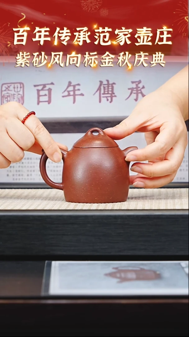 茶壶紫砂29宜兴紫砂范家壶庄大生底槽青