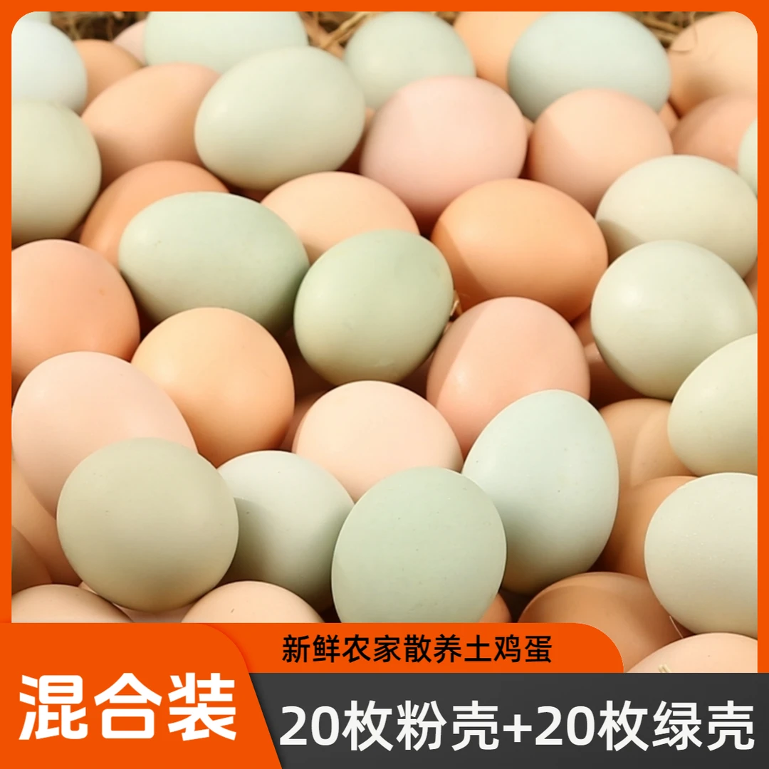 【20枚粉壳+20枚绿壳】山林散养土鸡蛋新鲜绿壳乌鸡蛋40-50克/枚 A