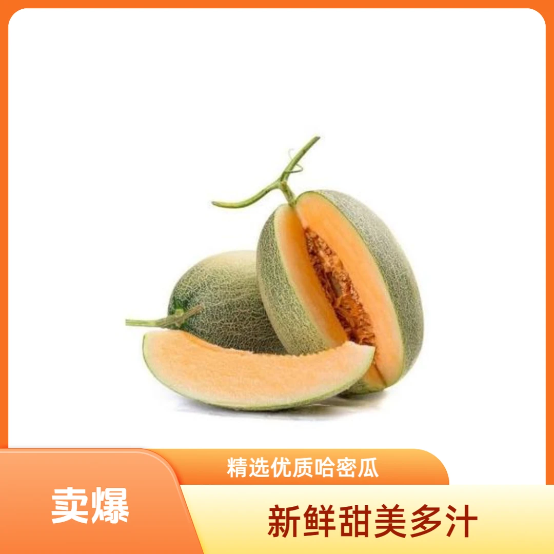 新鲜哈密瓜古博士哈密瓜