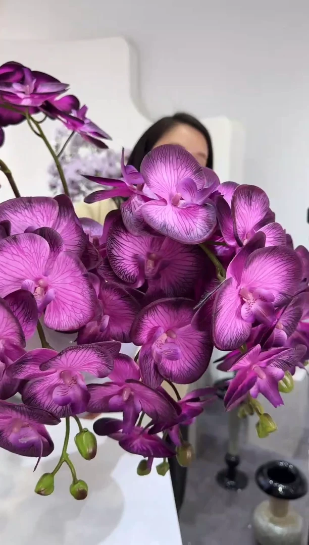 【闪购商品】藤10枝黑紫蝴蝶兰（不含花瓶）