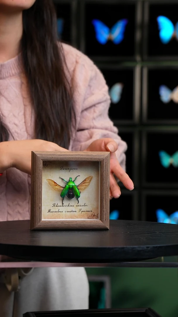 绿萝花金龟展翅复古版4寸木纹方框