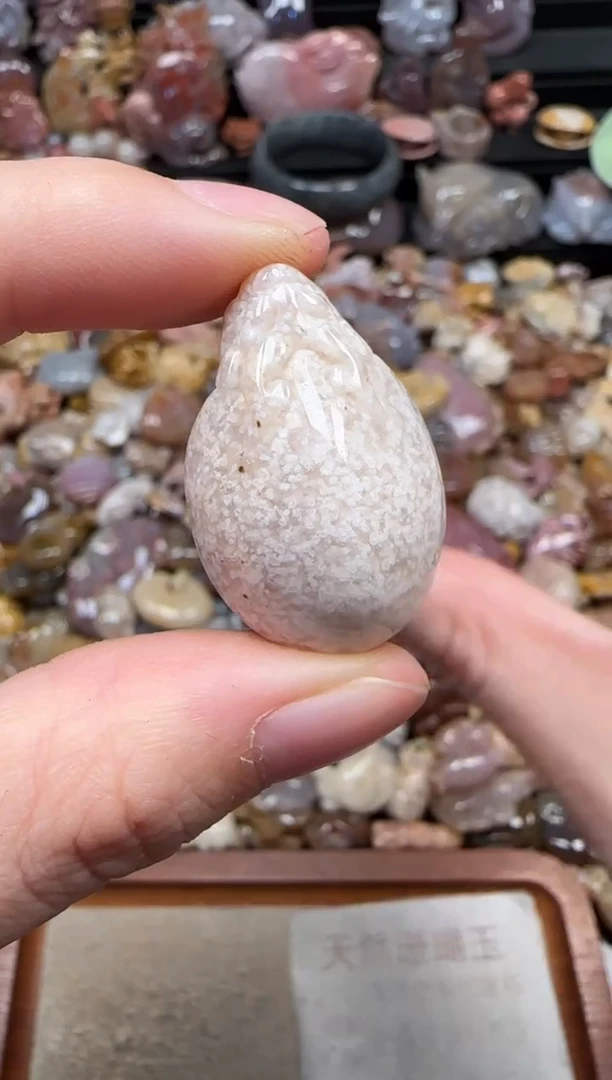 颈饰未镶嵌硅化珊瑚（珊瑚玉）293