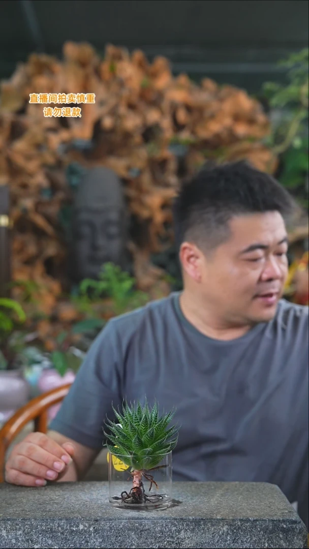 完全开放黄荆107+