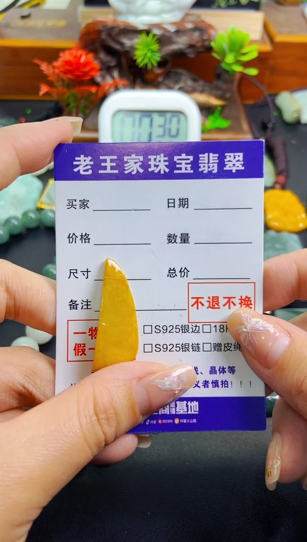 【闪购商品】翡翠颈饰未镶嵌料子