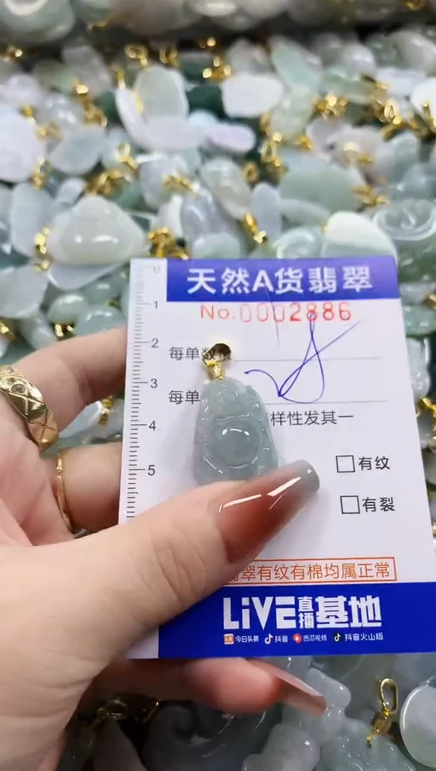 颈饰未镶嵌翡翠天然A货翡翠